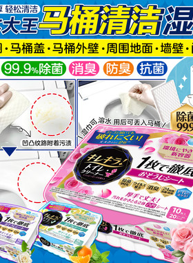 大王马桶清洁除菌消臭可融水湿巾