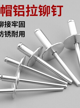 大帽铆钉铝制圆头大帽沿拉铆钉抽芯铆钉大头拉钉大扁头汽车拉铆钉