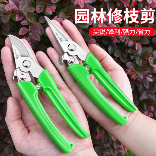 园艺园林花艺剪果树花卉树枝剪