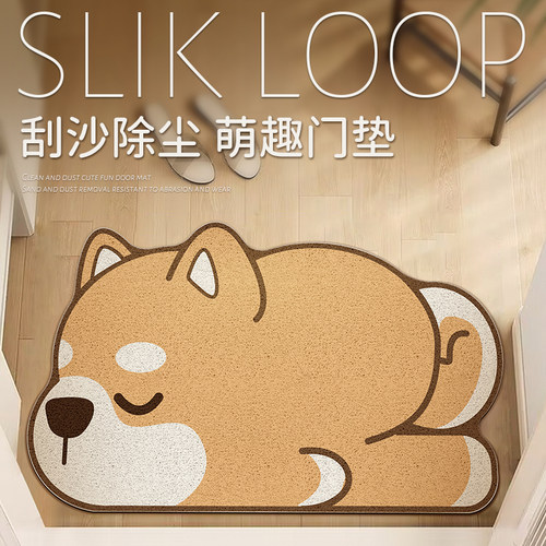 卡通地垫丝圈入户门垫家用防滑耐磨防水防污进门门口脚垫玄关地毯