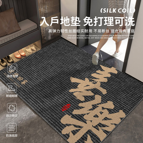 入户地垫防滑耐磨可擦免洗