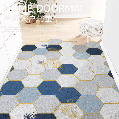 丝圈入户门地垫普尼邦门外蹭土