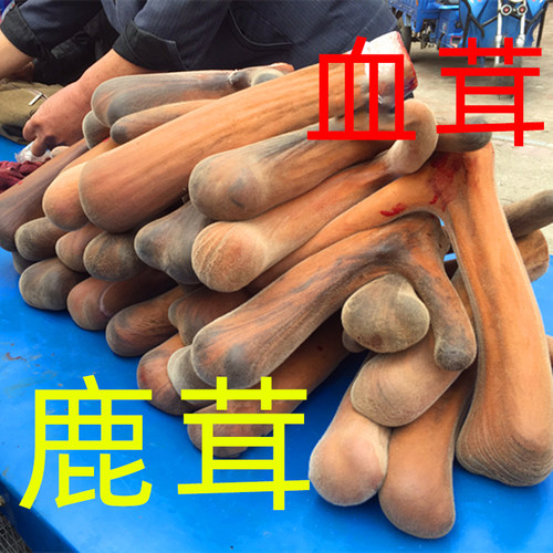 长白山二杠优质100g包邮泡酒料