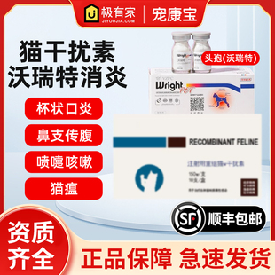 猫用重组干扰素150w万单位鼻支传腹疱疹冠杯状病毒一盒猫瘟