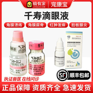 日本千寿贝斯特龙滴眼液角膜腐骨溃疡猫咪狗狗结膜葡萄膜炎眼药水
