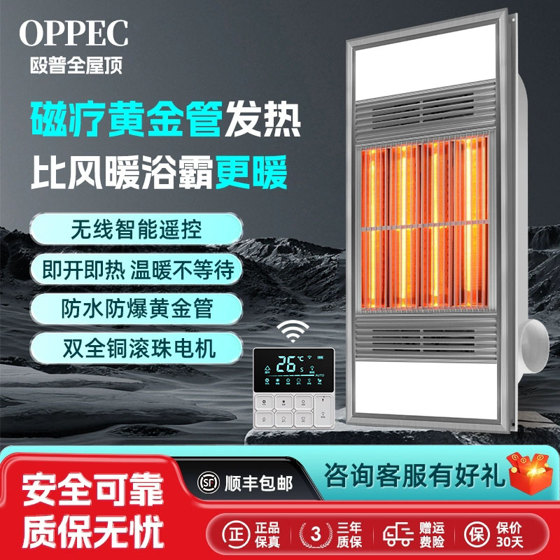 灯暖风暖浴霸照明排气扇一体