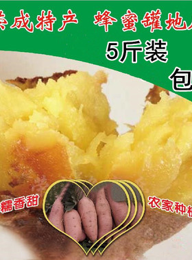 荣成蜂蜜罐地瓜 新鲜现刨老式红薯蜜薯烟薯 淡黄色心糯甜五斤包邮