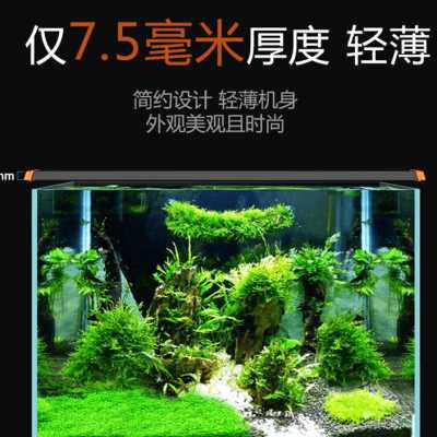 鹦鹉鱼水草价格 鹦鹉鱼水草图片 星期三