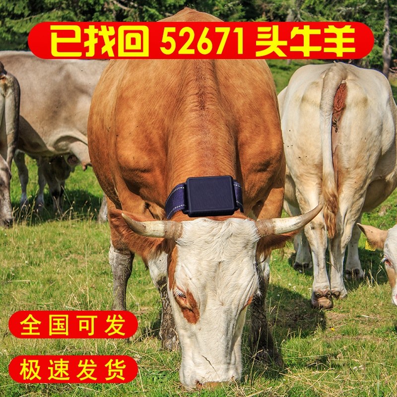 牛羊定位器gps追跟北斗卫星太阳能定位仪位置马放牧追踪专用神器