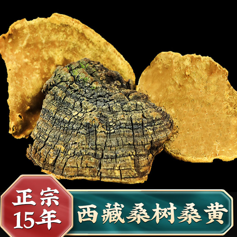 桑树桑黄切片正品500g正宗桑树桑黄西藏自治区桑黄孔菌黄灵芝干货