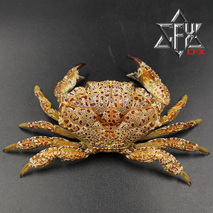 铜铸熟若蟹蟹螃蟹标本教学科普教具海洋生物甲壳类模型个性礼物