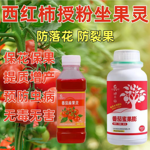 番茄专用坐果灵西红柿点花药授粉沾花座果灵喷花保花保果人工水剂
