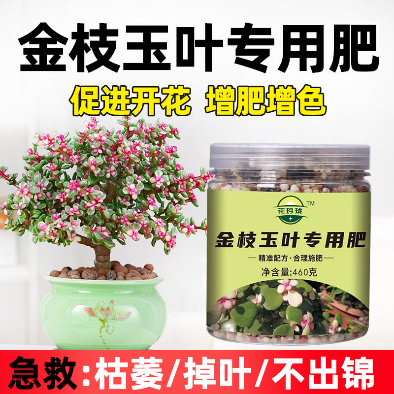 金枝玉叶专用肥复合肥花肥家用盆栽有机缓释花卉金枝玉叶专用肥料