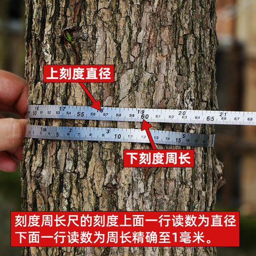 树围尺测树尺量直径尺2米卷尺量树尺胸径尺腰围尺不锈钢围尺迷你