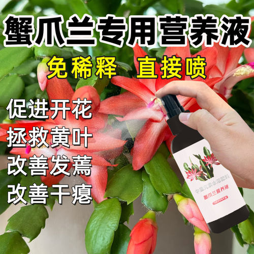 蟹爪兰专用营养液专用肥植物液体肥花肥增肥增绿促开花肥料通用