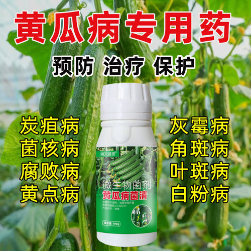 黄瓜病毒病专用药病全治叶子黄斑白粉霜霉病菌清病害防病防治特效
