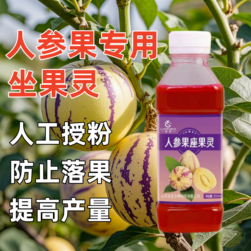 人参果保花保果坐果灵授粉坐果人参果授粉专用人参果授粉防落素