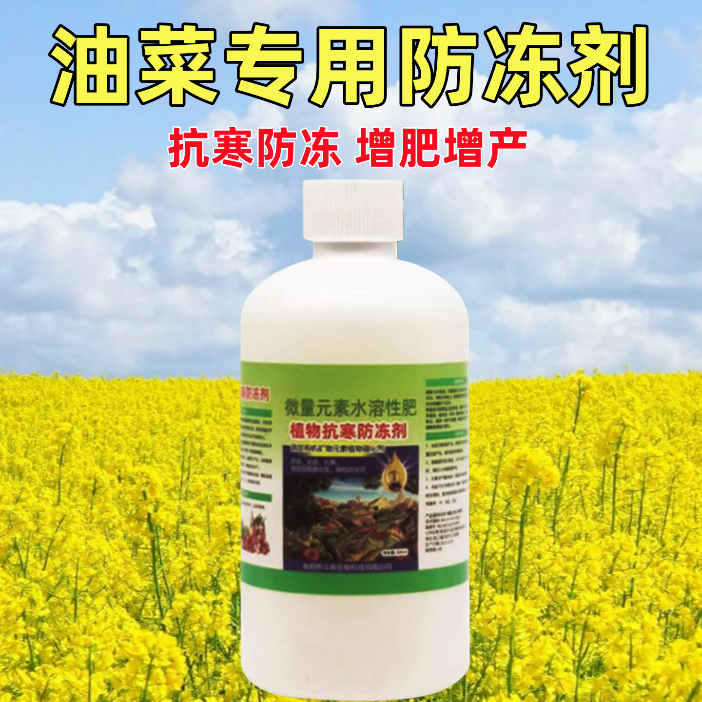 油菜专用抗寒防冻剂增加油菜抗寒抗逆缓解冻害植物果蔬通用叶面肥
