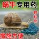 蜗螺净杀蜗牛专用一喷净专打鼻涕虫蛞蝓福寿螺软体害虫蔬菜专治剂
