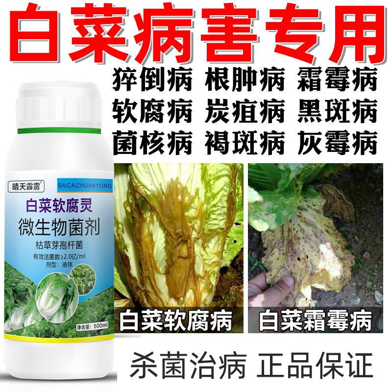白菜软腐灵白菜专用药白菜病全治烂根腐烂软腐病灰霉病专用杀菌剂