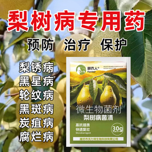 梨树锈病专用药病菌清微生物菌剂炭疽叶斑梨锈病灰斑黄叶褐斑根腐