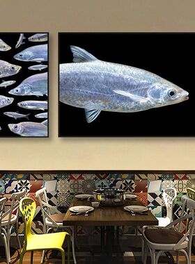 原生鱼装饰画宽鳍鱲马口鱼溪流鱼图案挂画水族馆鱼缸上方墙面壁画