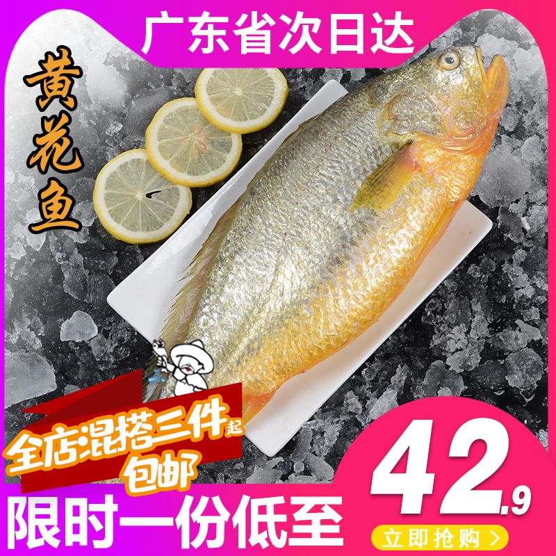 野生黄花鱼深海鲜活海捕新鲜海鱼 海鲜水产冷冻大黄鱼免杀去内脏|ruв категории водной мясо/свежие фрукты и овощи/еда, морепродукты/водные продукты/изделия, пресноводные рыбы - от Buy2taobao.com для оказания профессиональной услуги покупки агента Taobao