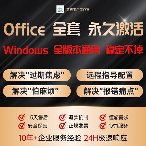 Office专业增强版安装Window全套Word/Excel/PPT永久使用教程远程
