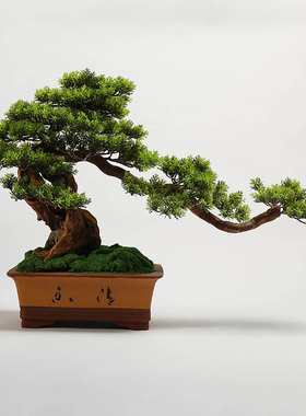 新中式风迎客松盆景绿植软装饰品