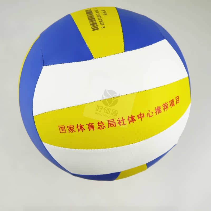 Ballon de volley - Ref 2009814 Image 4