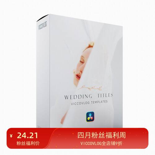 ViccoVlog 达芬奇原创 婚礼标题模板 Wedding Titles
