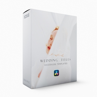 Wedding 婚礼标题模板 Titles 达芬奇原创 ViccoVlog