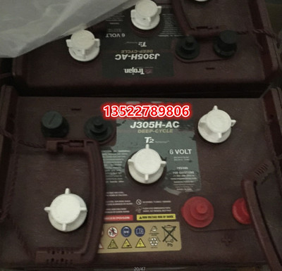 邱健蓄电池J305H-AC牵引电瓶