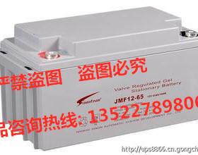 原装赛能蓄电池SN-12V65CH免维护电池12V65AHUPS电源全新正品质保