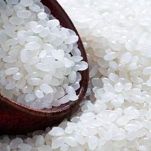 散装碎米低价便宜米喂鸡鸭大w米低价米陈米碎米喂狗钓鱼专用打窝