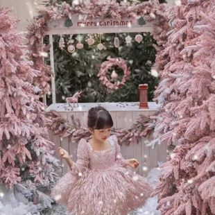 2025女童仙仙礼服长袖礼服羽毛公主裙浪漫儿童节摄影拍照周岁礼服