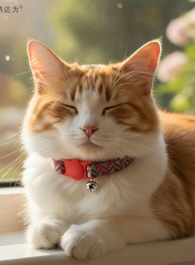 防丢定制猫咪项圈防窒息安全扣防勒反光可调宠物身份牌铃铛脖颈圈