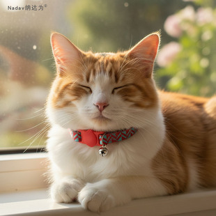 防丢定制猫咪项圈防窒息安全扣防勒反光可调宠物身份牌铃铛脖颈圈