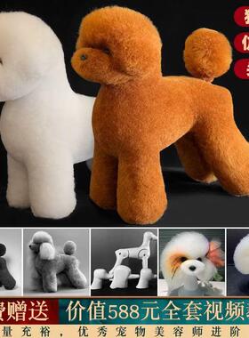 瑞宠宠物美容练习泰迪贵宾假毛模型假狗毛片假头毛假背毛全身毛