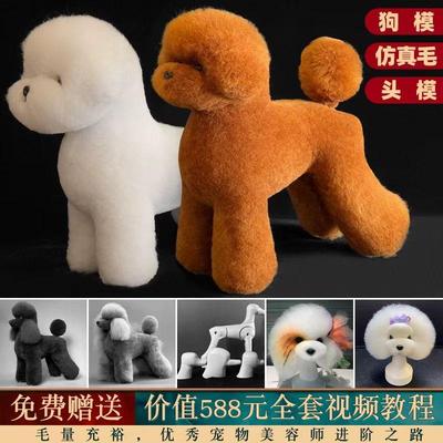 瑞宠宠物美容练习泰迪贵