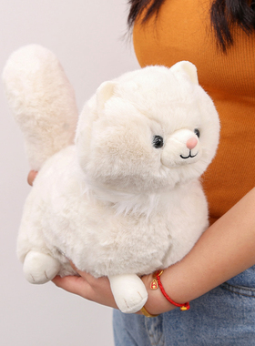 白色波斯猫毛绒玩具公仔安抚玩偶可爱白猫布娃娃送小朋友布偶礼物