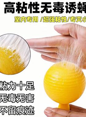 室内粘虫球果园粘小虫子家用