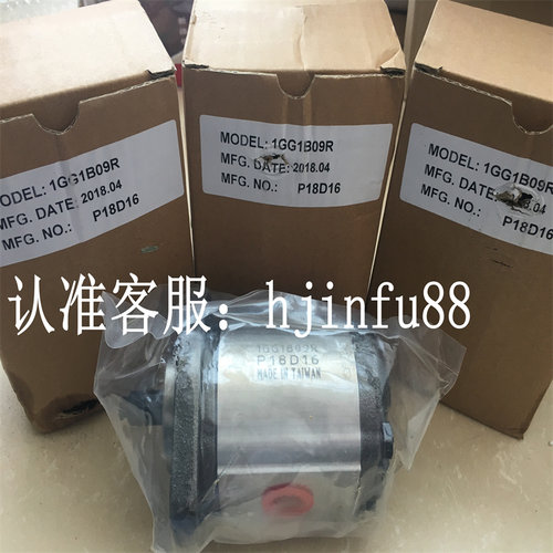 正品台湾HONOR钰盟齿轮泵1GG1B01R 1GG1B02R 1GG1B27R 1GG1B35R - 封面