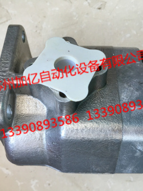 原装台湾锐力REXPOWER齿轮泵RGP-2A-F03R 全新正品 拍前咨询