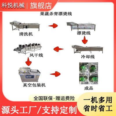 全自动气泡清洗机山野菜焯水护色流水线果蔬漂烫成套设备科悦机械