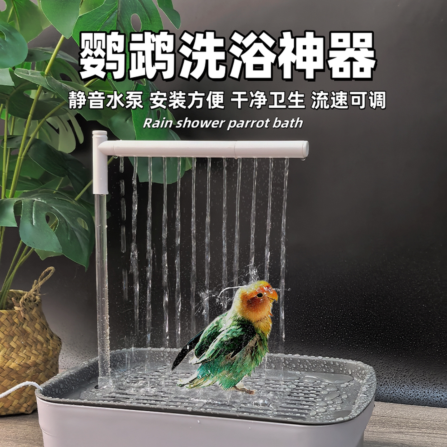 鹦鹉洗澡神器自动循环水小太阳虎皮玄凤牡丹和尚鸟用大号澡盆电动