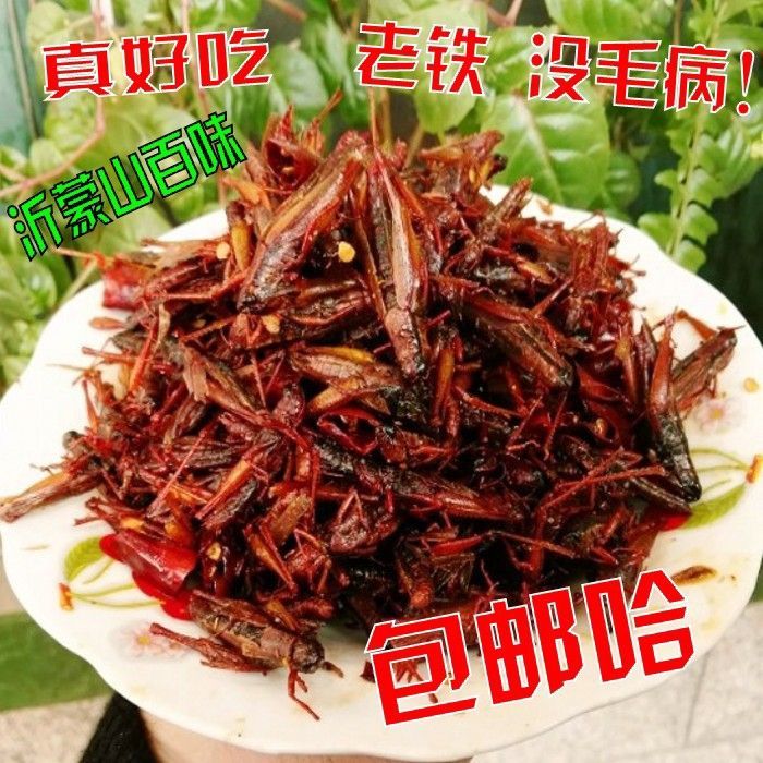 新鲜油炸蚂蚱即食零食带翅膀蝗虫麻辣椒盐小吃美食蚂蚱药食同源