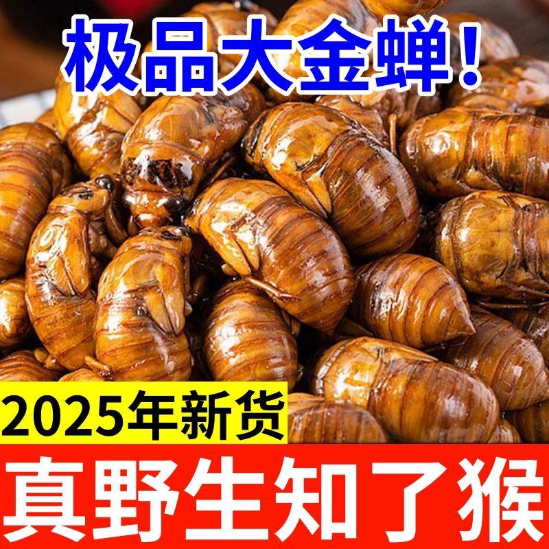 油炸金蝉知了猴开袋即食山东特产节流龟唐僧肉爬叉现货速发蝉蛹