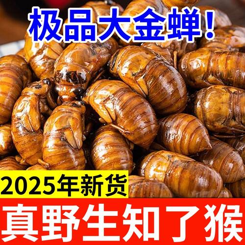 炸金蝉油炸鲜活知了猴熟食开袋即食炸爬叉现炸现卖野生知了猴生鲜