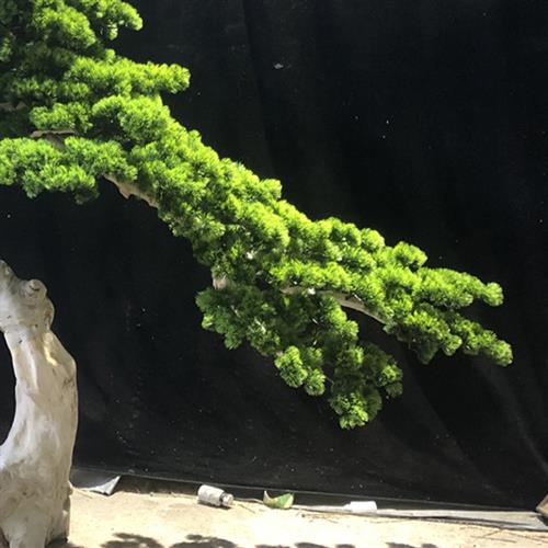 新中式绿色植物仿真树枯山水室内大型摆件酒店大堂装饰景观树